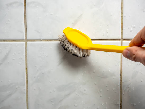 Best Certified Mold Removal  in Heritage Lake, IN