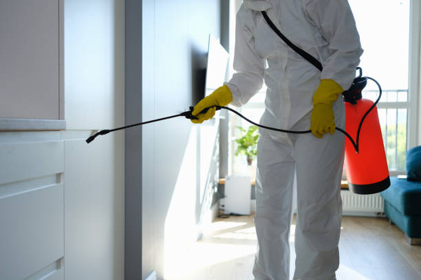 Home Mold Removal in Heritage Lake, IN