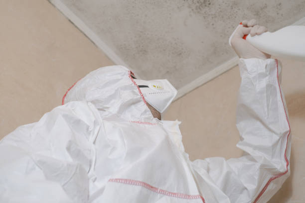Best Toxic Mold Removal  in Heritage Lake, IN