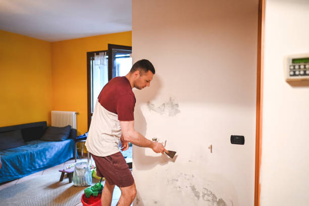 Trusted Heritage Lake, IN Mold Removal Experts