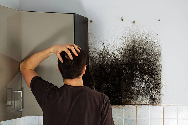 Best Mold Cleaning Services  in Heritage Lake, IN
